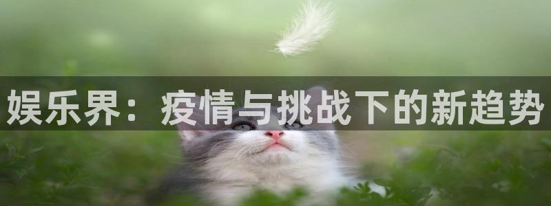 彩名堂计划旧版本：娱乐界：疫情与挑战下的新趋势