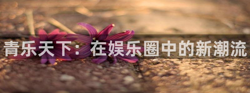 彩名堂老版本：青乐天下：在娱乐圈中的新潮流