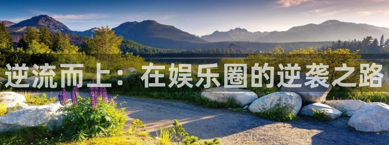 彩名堂ios：逆流而上：在娱乐圈的逆袭之路