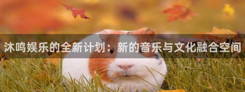 彩名堂官网下载：沐鸣娱乐的全新计划：新的音乐与文化融合空间