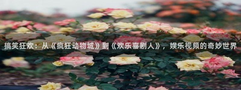 彩名堂计划软件下载：搞笑狂欢：从《疯狂动物城》到《欢乐喜剧人》，娱乐视频的奇妙世界