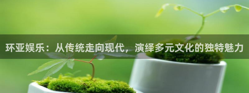 彩名堂6.0计划：环亚娱乐：从传统走向现代，演绎多元文化的独特魅力