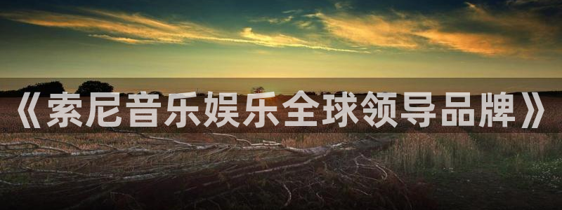 彩名堂计划怎么样：《索尼音乐娱乐全球领导品牌》